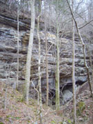 The Cave